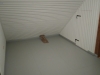 poo-5 (4)
